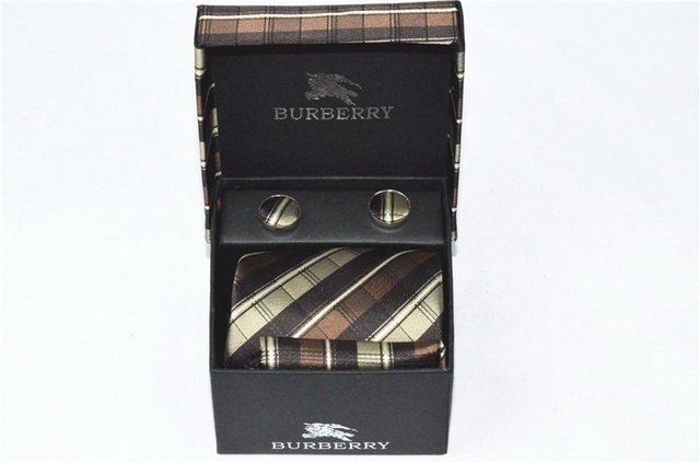 Burberry Ties 11